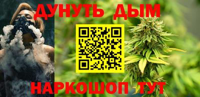 гашик Берёзовский