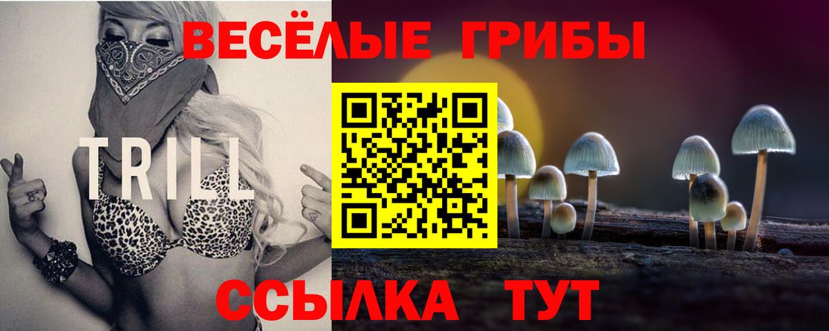 где продают наркотики  Вход с VPN  Карачаевск  Галлюциногенные грибы GOLDEN TEACHER 